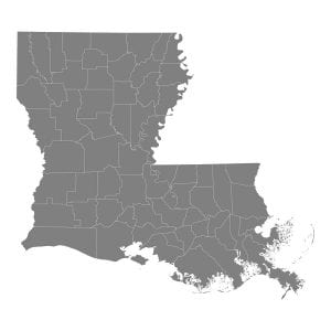 State of Louisiana Auto Transport Services