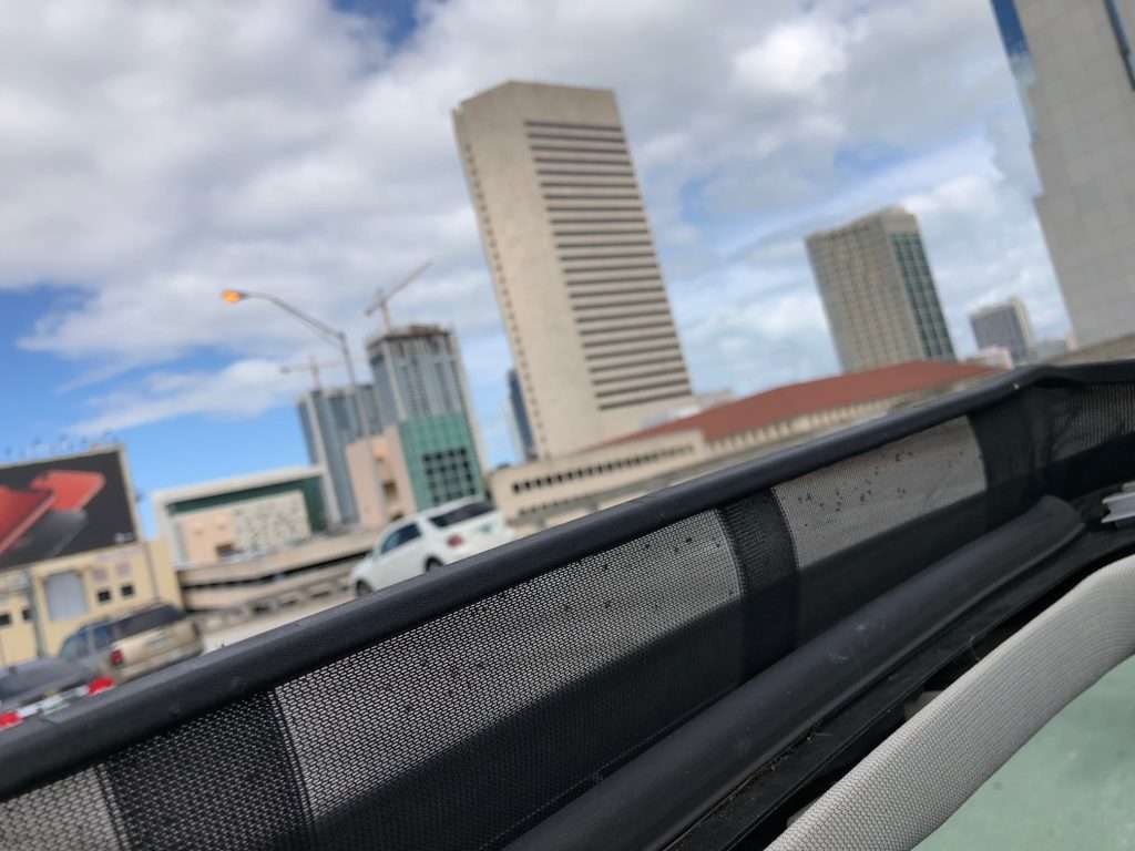 Get International Auto Transport From USA To Canada